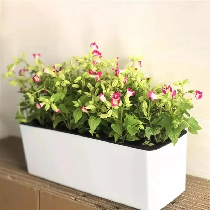 Hydroponic Grow Pod - Pot de fleur rectangulaire paresseux, Pot