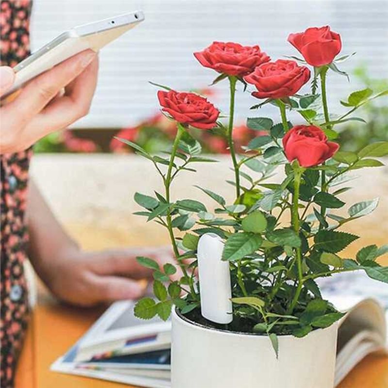 Plant Sensor - ABVG-Flora Moniteur intelligent de fleurs, capteur