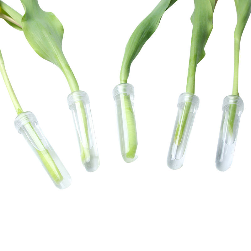 Tube de nutrition de fleurs fr - Hydroponic Grow Pod avis et prix