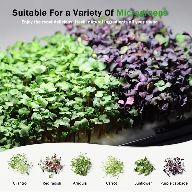 Système de culture hydroponiqu - Indoor Garden Kit avis et prix
