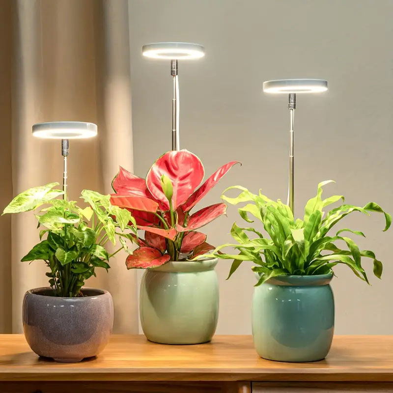 LED élèvent la lumière spectre - Indoor Garden Kit avis et prix