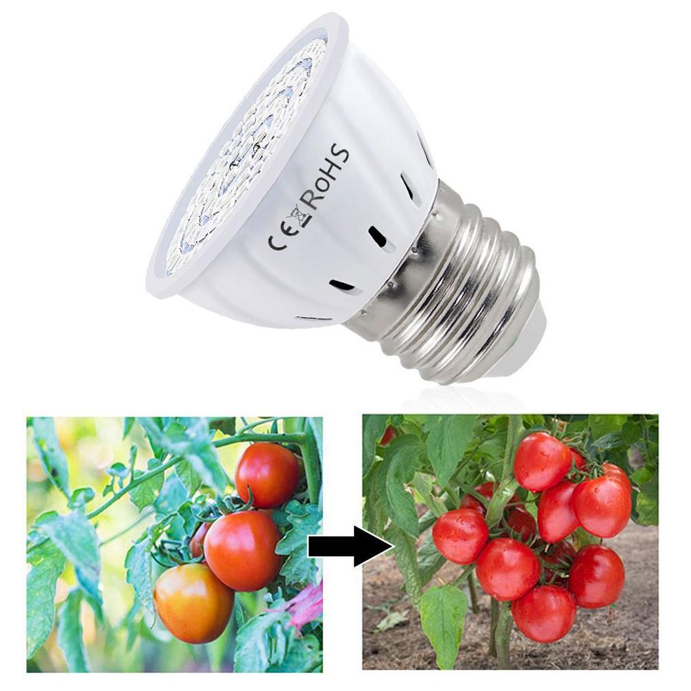 Ampoule LED de culture E27 60  - Plant Grow Light Full Spectrum avis et prix