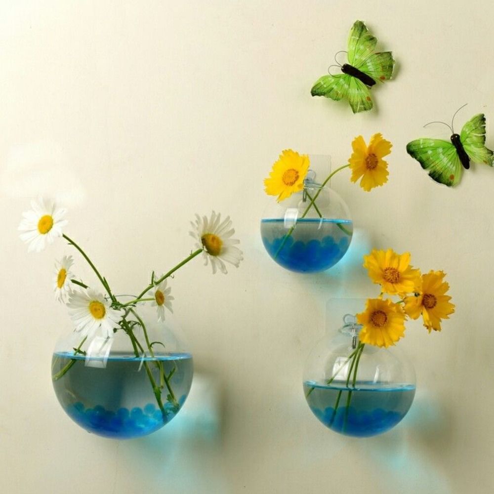 Vase mural en verre transparen - Hydroponic Grow Pod avis et prix