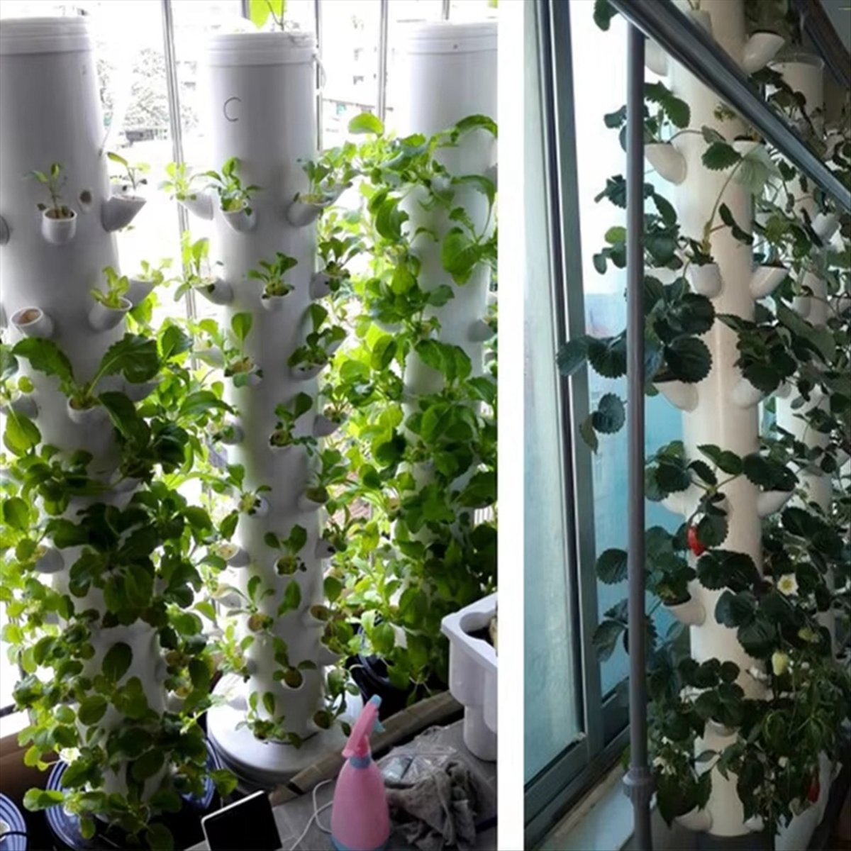 Tour verticale hydroponique DI - Hydroponic Tower avis et prix