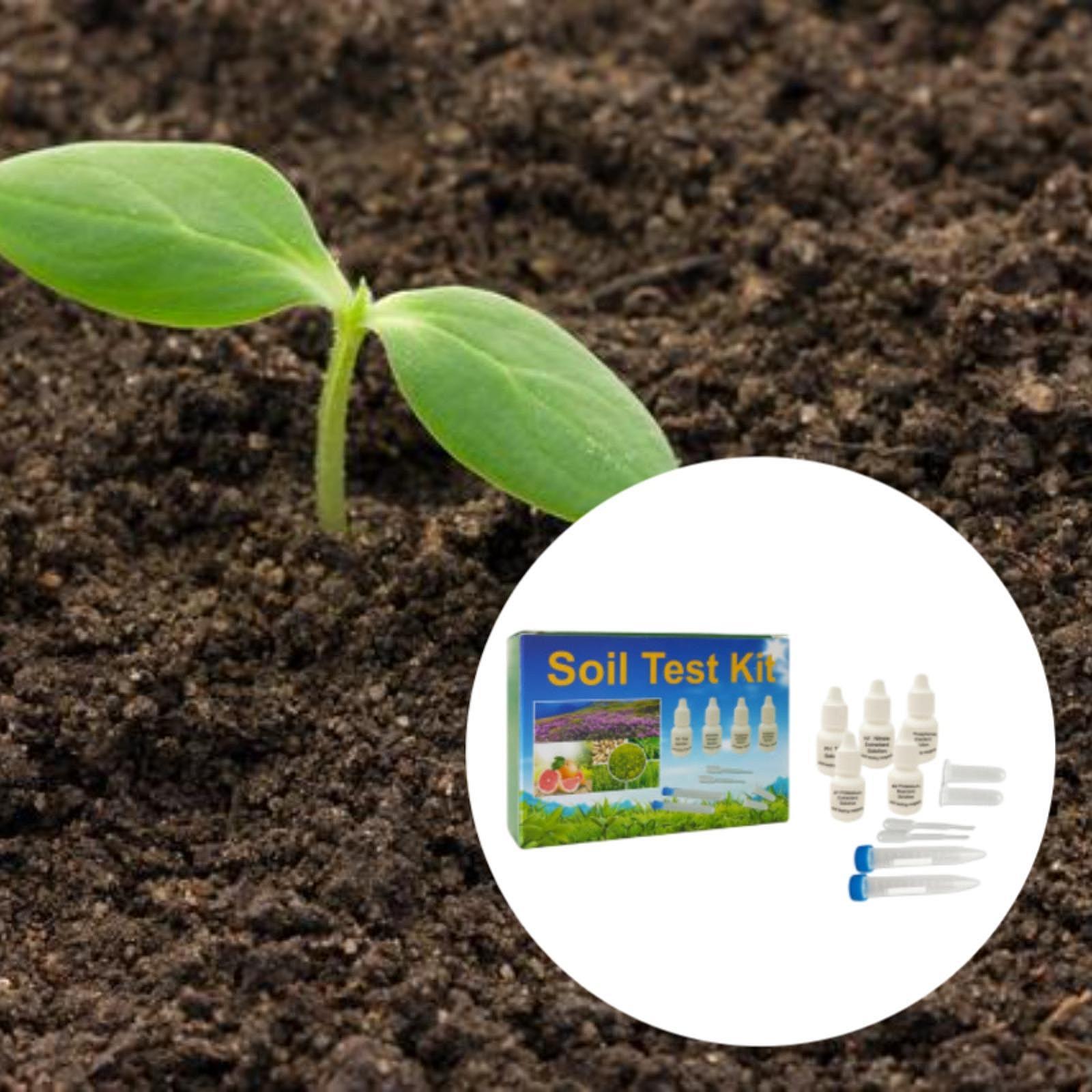Kit d'analyse du sol facile à  - Indoor Garden Kit avis et prix